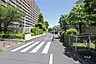 その他：敷地南側の前面道路（西側から）