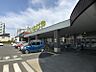 周辺：いなげや　小平小川橋店まで徒歩2分155ｍ！日々のお買い物に便利で、生活利便性の高い住環境が整っています。