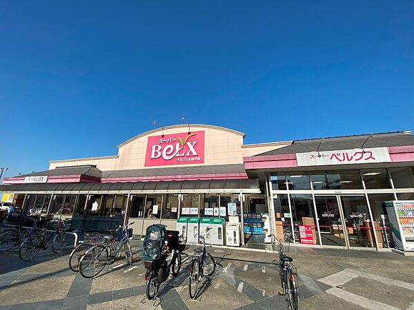 画像25:【スーパー】BeLX(ベルクス) 北松戸店まで564ｍ