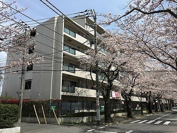 カーサグラン松戸
