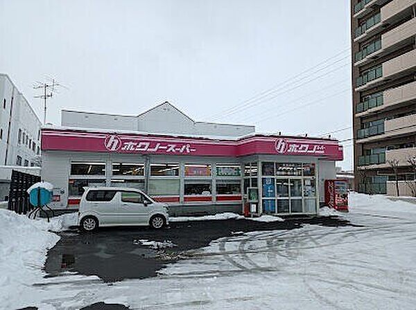 北海道札幌市厚別区厚別中央五条4丁目(賃貸マンション1LDK・1階・32.64㎡)の写真 その17