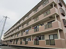 ラーバンハイツ 203 ｜ 宮崎県宮崎市高洲町（賃貸マンション3LDK・2階・66.24㎡） その5