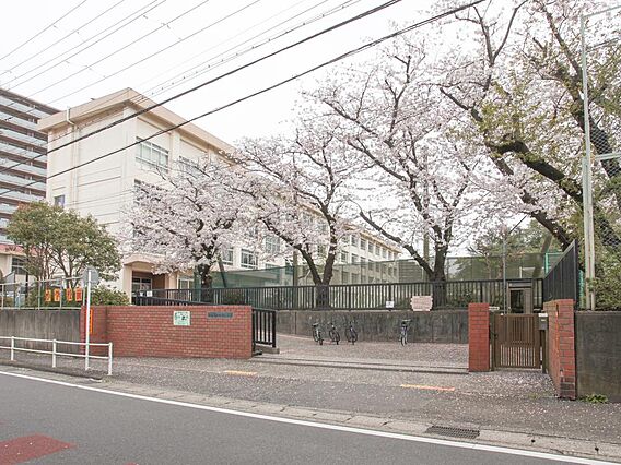 ■藤沢市立新林...