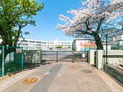 【横浜市立白根小学校】