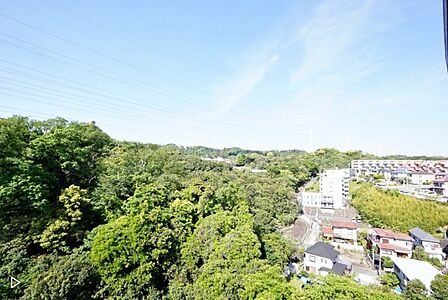 ◎最上階からの眺望