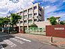 周辺：◇川崎市立新町小学校…徒歩約3分