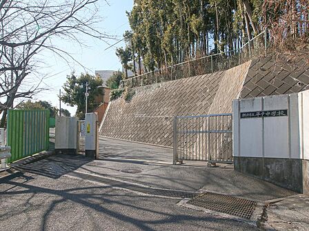 【横浜市立平戸中学校】