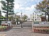 周辺：【横浜市立綱島小学校】