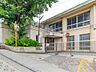 周辺：【小学校】横浜市立菊名小学校
