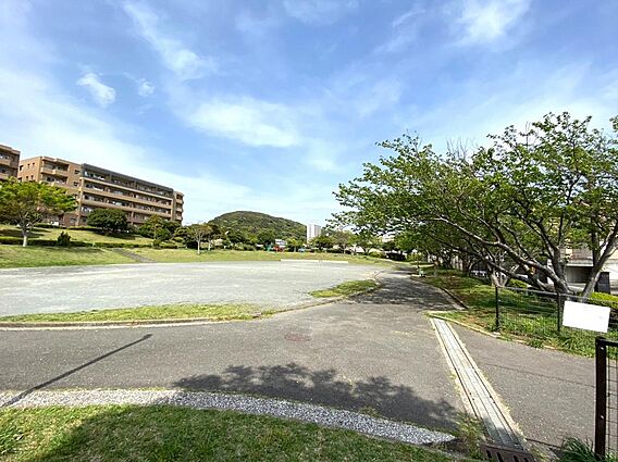 ■野比松葉公園...