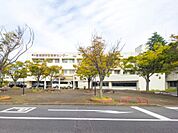 ■神奈川県立循環器呼吸器病センター…徒歩31分(2100m)