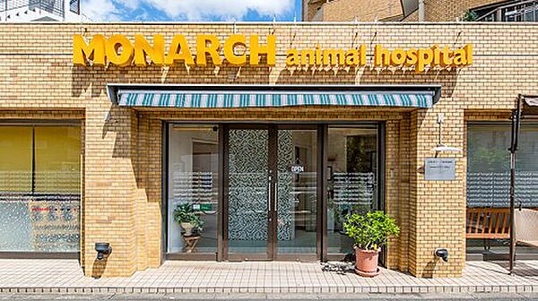 画像18:【動物病院】目黒モナーク動物病院まで255ｍ