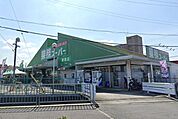 業務スーパー 野路店（668m）