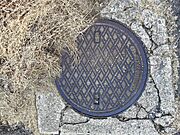 快適な暮らしを支える排水設備（下水桝）もしっかり敷地内（または前面）に整備されています。
