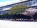 新田小学校 4...