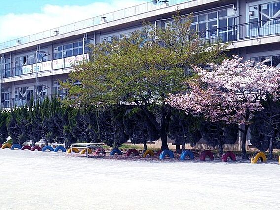 新田小学校 4...