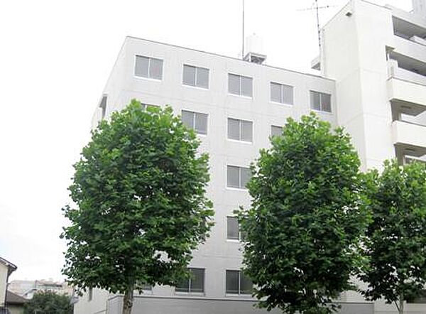 東京都中野区本町3丁目(賃貸マンション3LDK・5階・128.70㎡)の写真 その1