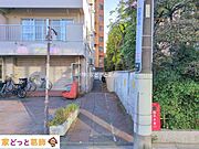 撮影日(2025-12-10 00:00:00)
