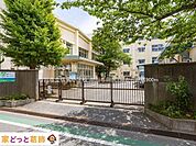 市川市立信篤小学校 撮影日(2022-06-01) 900m