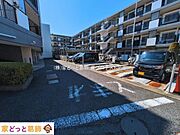 撮影日(2026-03-11 00:00:00)