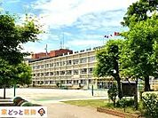 葛飾区立清和小学校 徒歩6分。 440m