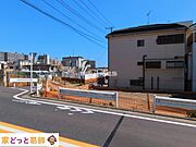 撮影日(2026-03-12 00:00:00)