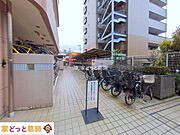 撮影日(2025-04-03 00:00:00)