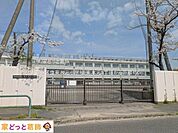葛飾区立東水元小学校 撮影日(2025-04-08) 450m