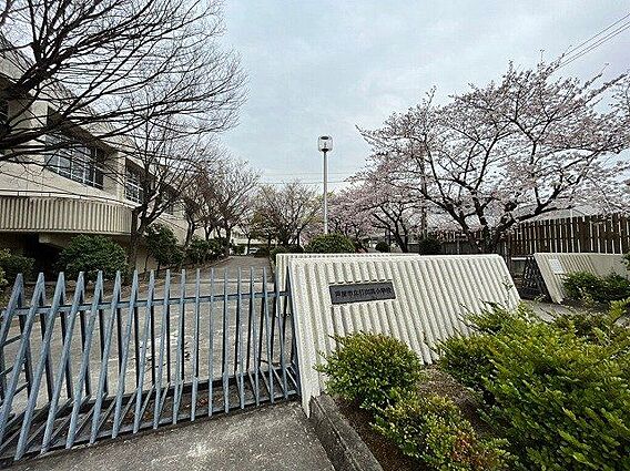 芦屋市立打出浜...