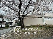 芦屋市立精道中学校 徒歩7分。 520m