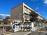 周辺：西宮市立今津中学校 徒歩17分。 1290m