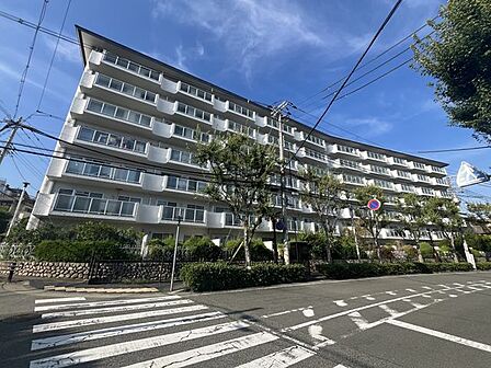 エリアの特性や周辺環境についての情報提供も行っています。物件だけでなく、地域の暮らしやすさも含めてご確認いただけます