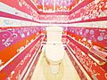 水洗トイレは掃...