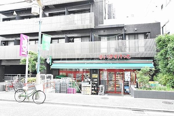 東京都大田区東雪谷3丁目(賃貸マンション1LDK・1階・31.22㎡)の写真 その22