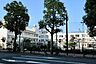 周辺：小学校「渋谷区立加計塚小学校まで546m」