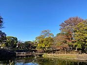 文庫の森
