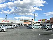 ウニクス伊奈スーパーマーケット、ドラッグストア、レストラン、書店、衣料品、雑貨店が揃う大型ショッピングセンター。羽貫駅より徒歩5分、駐車場620台完備。 970m