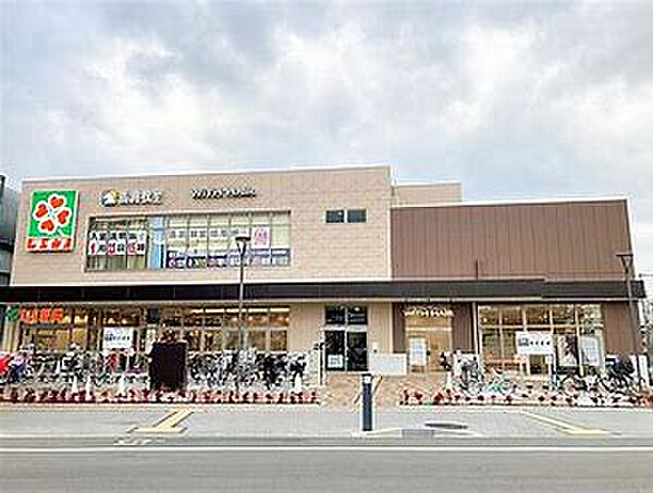 画像20:【スーパー】ライフ　阪神鳴尾店まで664ｍ