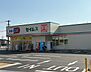 周辺：セイムス熊本龍田店 1070m