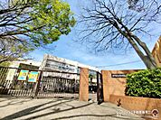 神戸市立玉津中学校　1260m