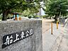 周辺：船上東公園　50m　徒歩1分　遊具も充実　当該マンション道路向かいの、気軽に足を運べる公園です