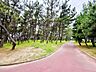 周辺：望海浜公園　320m　徒歩4分　海を眺めながらのウォーキングやお子様たちの日々の公園遊びに　