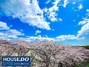 ＼眺望／桜が咲く季節にはお庭でお花見や浴室からも桜が見えるので入浴時も花見気分を味わいながら入浴を楽しむことができます◎