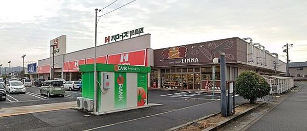 周辺を拡大表示