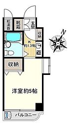 アルファ大供
