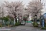 周辺：蕨市立西小学校（656m）