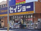 デイリーケアセイジョー美女木店（83m）