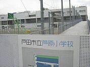 戸田市立芦原小学校（576m）