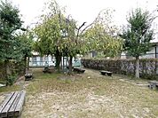 三本木屋形ちびっこ広場　藤棚があり、5月頃には綺麗な藤の花を楽しめるので、近隣の方の憩いの場として活用されています。 1020m