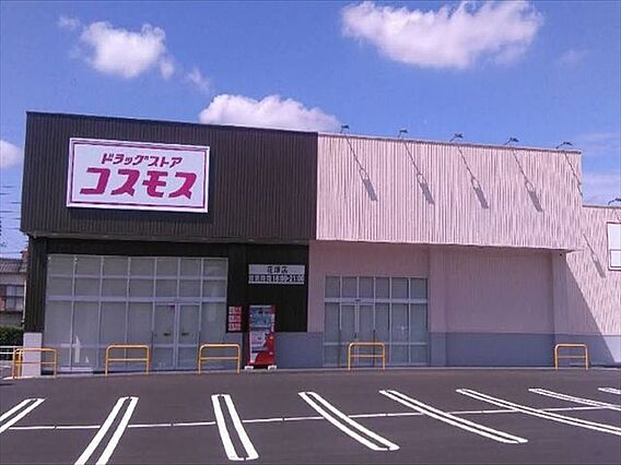 コスモス 花塚...